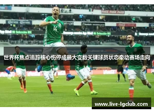 世界杯焦点追踪核心伤停成最大变数关键球员状态牵动赛场走向